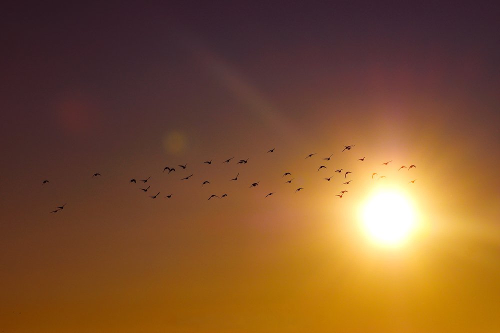 Photograph by George Sorin