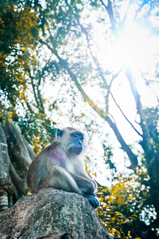 Photograph by Desmond Kok