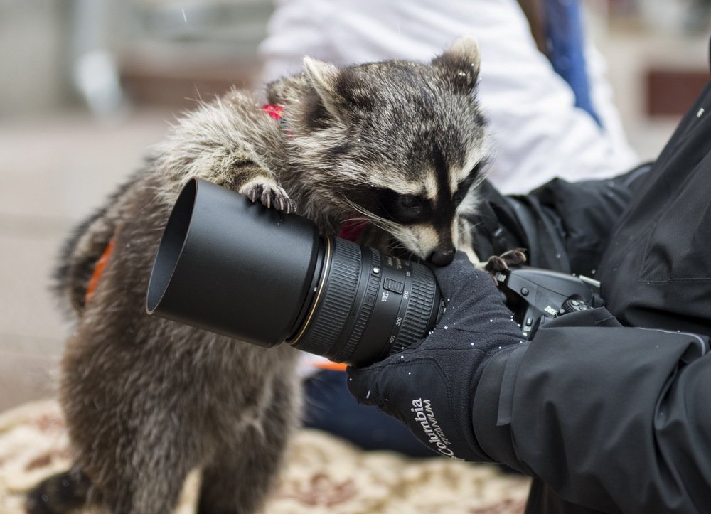 Photograph by Alexsandr