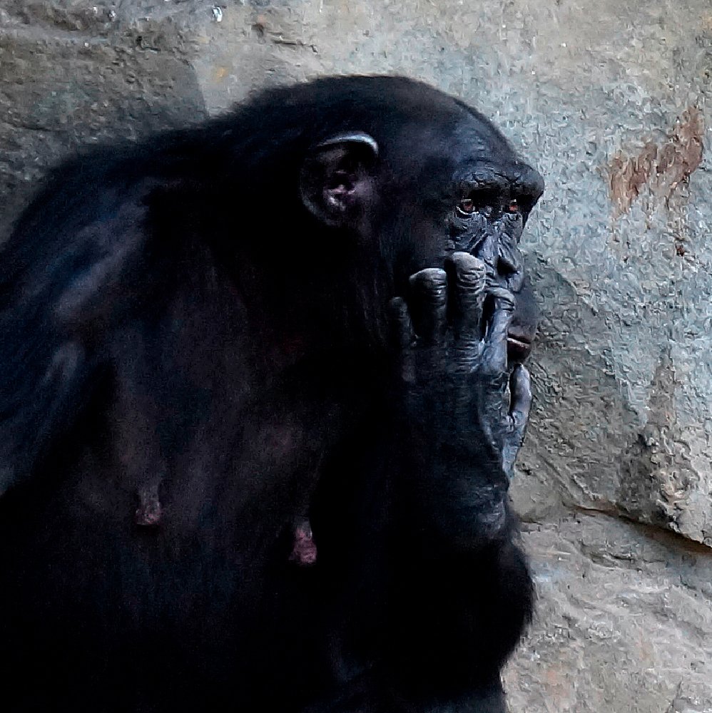 Photograph by Сергей Заболотских