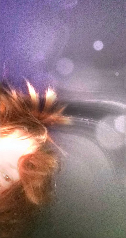 Photograph by Michelle Vaughn