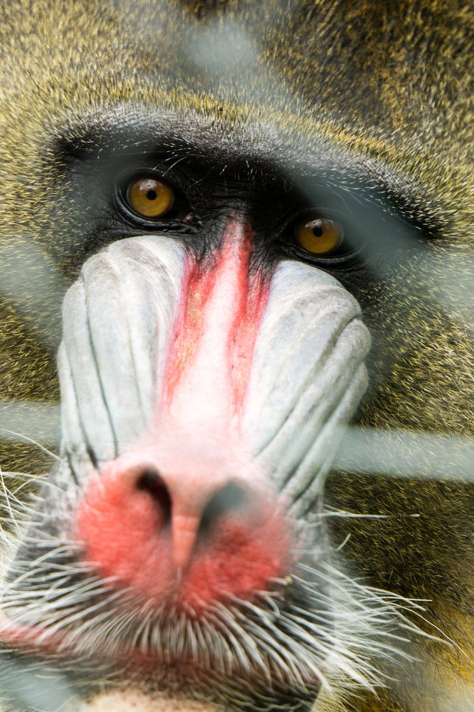 Photograph by Levente Zsolt Gal