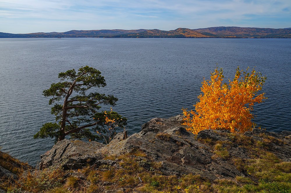 Осени костёр.