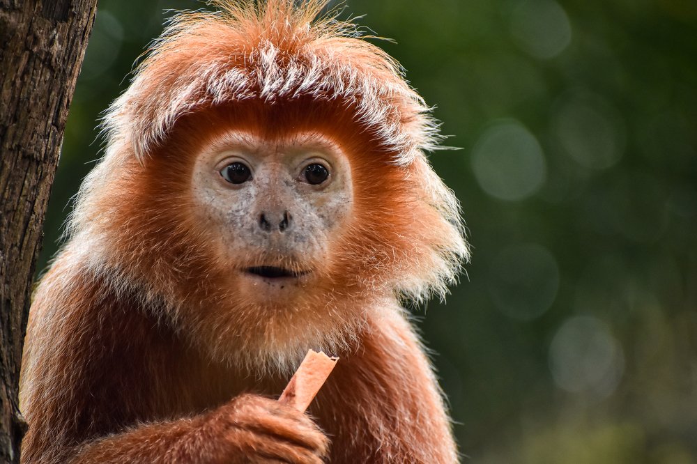 Photograph by Nicholas Ng