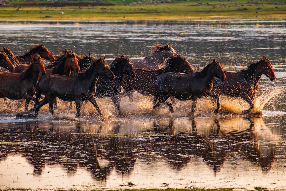 Photograph by RIDVAN HOŞGÖR