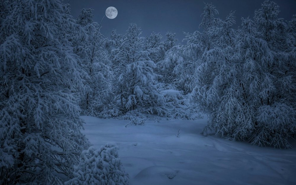 Лунная ночь