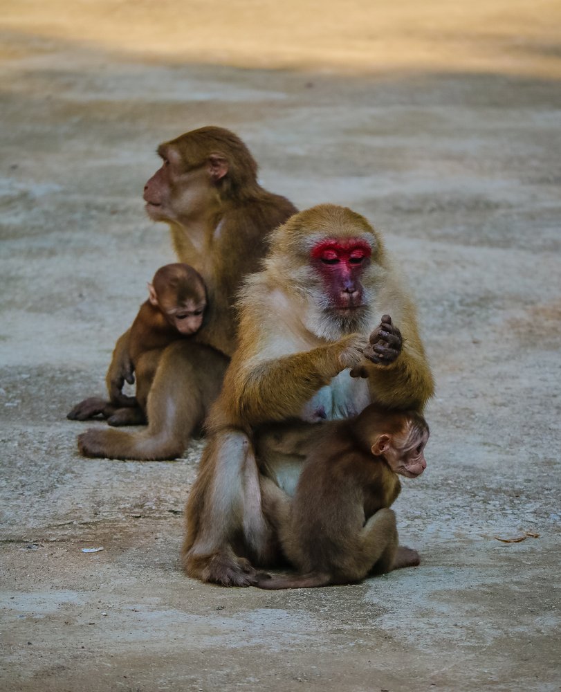 Photograph by kachachart duangket