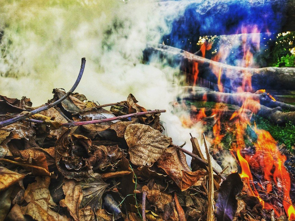 Photograph by Priyanka Sharma