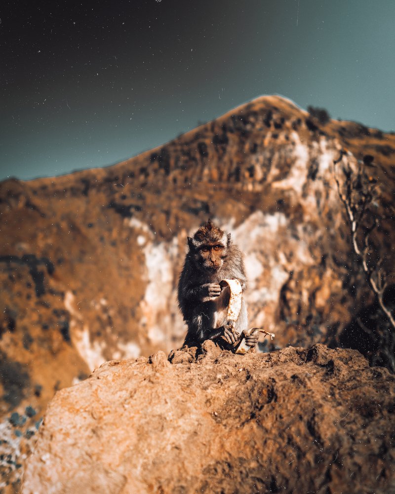 Photograph by Иоанн Степанченко