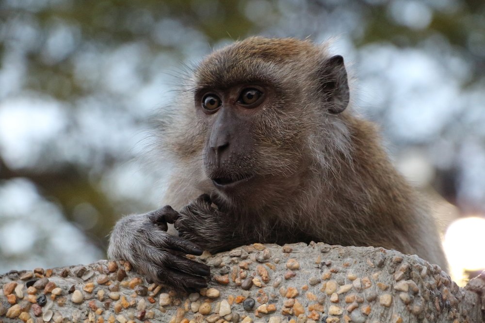 Photograph by Юрий