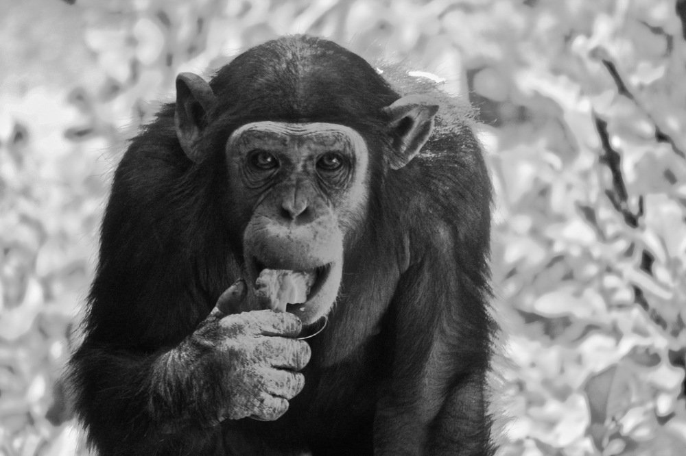 Photograph by Наталья Пирогова