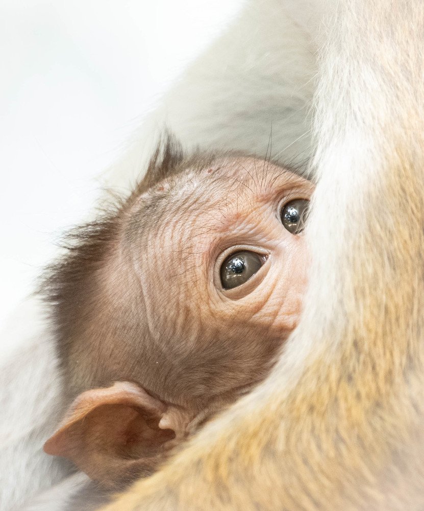 Photograph by Ravisara Jayamanna