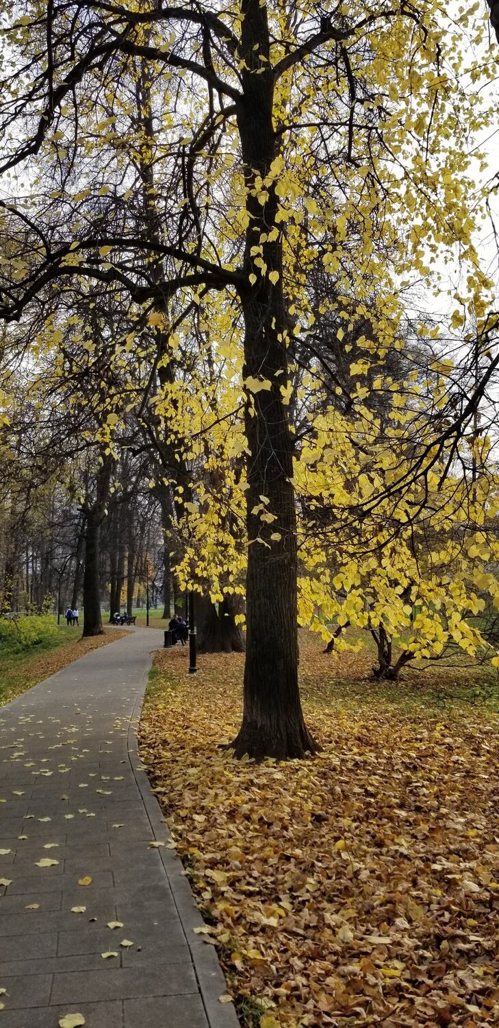 Photo #3975188