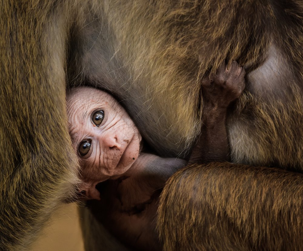 Photograph by Ravisara Jayamanna