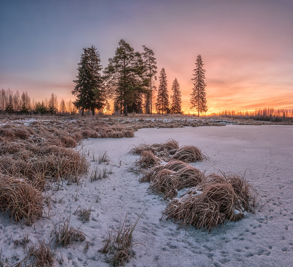 Photograph by Николай Андреев
