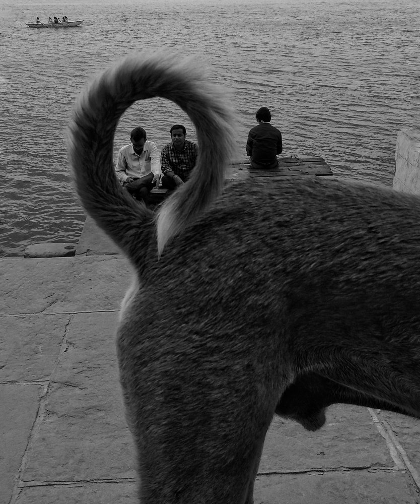 Photograph by Priyanshu Singh