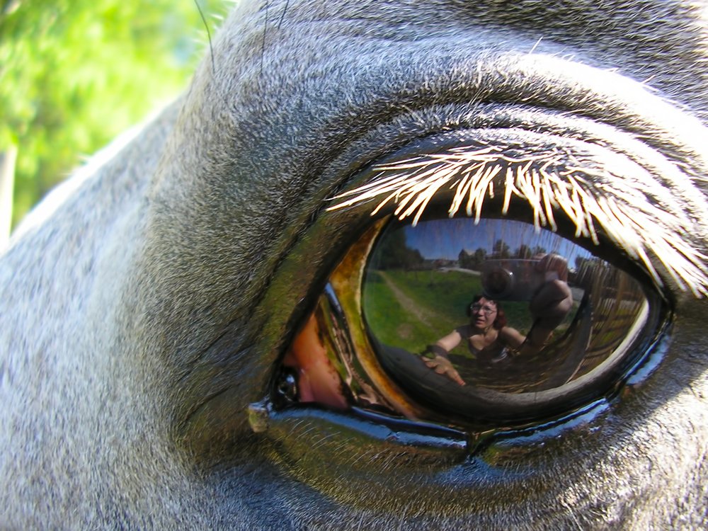 Что тебе в оке моём ?