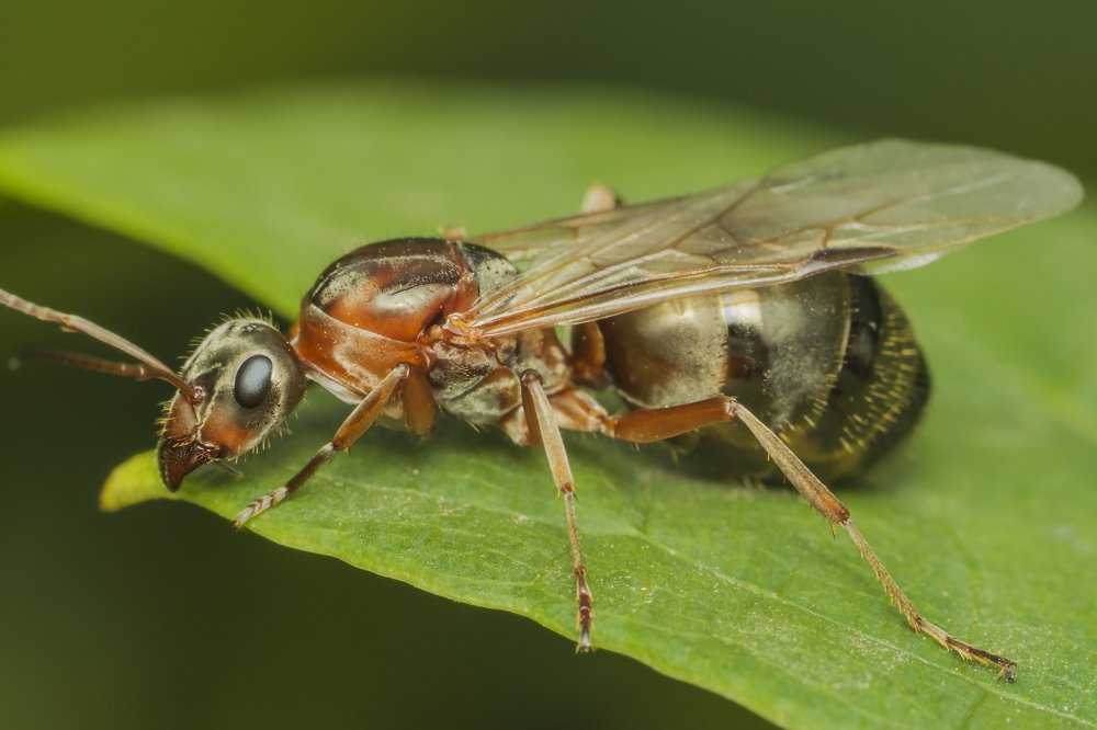 Photograph by Денис Ветренко