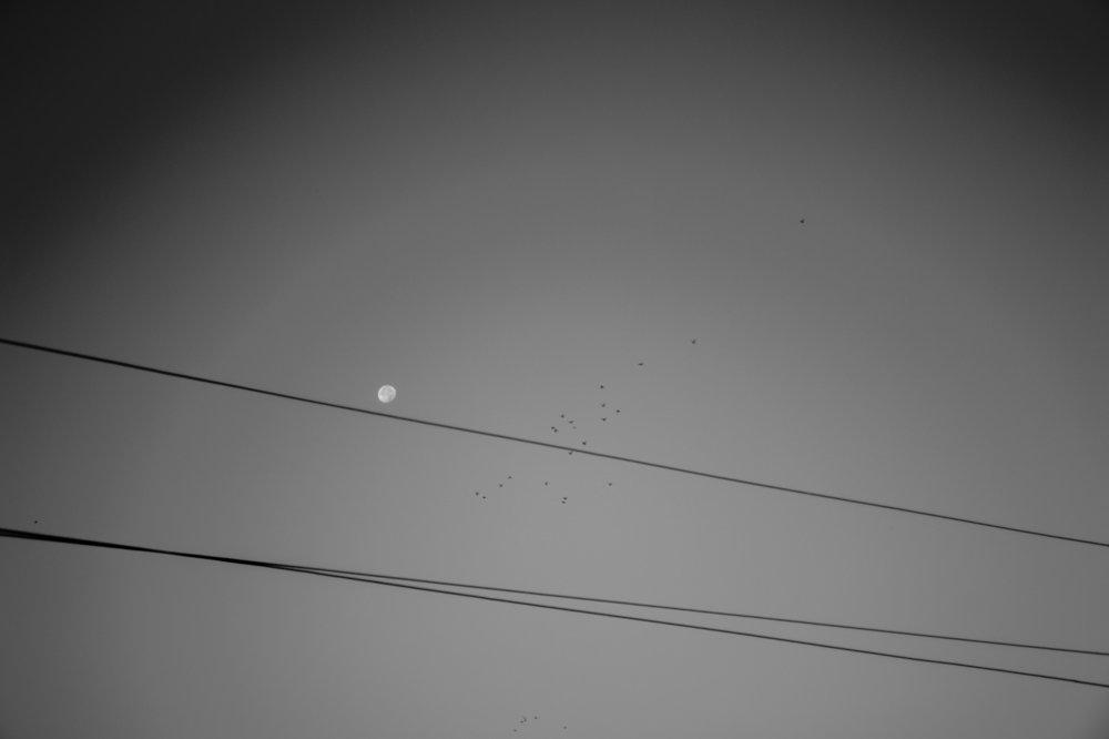 Photograph by Rusudan Khubutiya