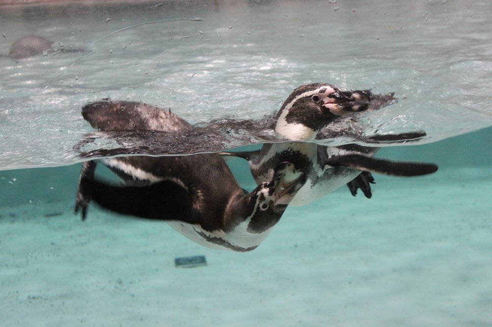 Photograph by Ольга Гаврикова