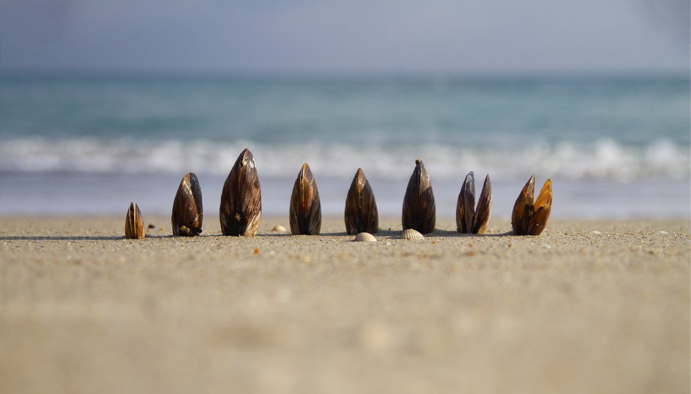 Photograph by Гаврилова Оксана