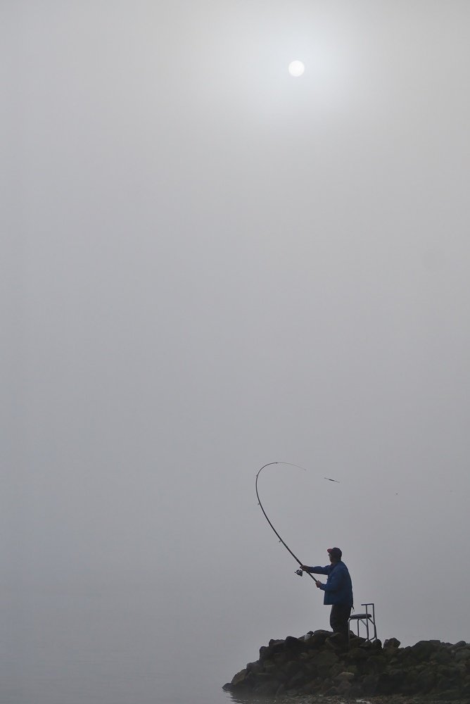 Photograph by Александр Попов