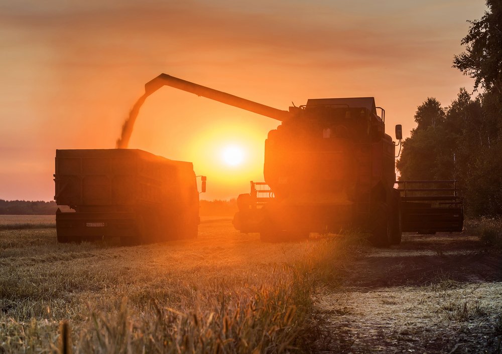 Photograph by Сергей Степанов