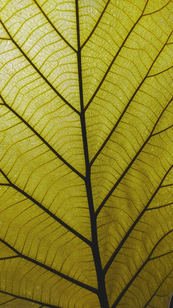 Photograph by khan avi