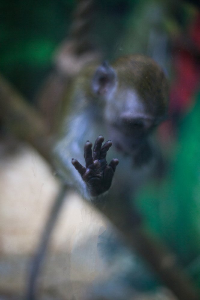 Photograph by Елена Полянская