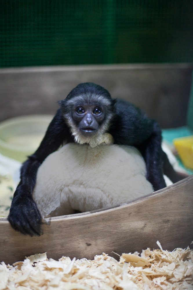 Photograph by Елена Полянская