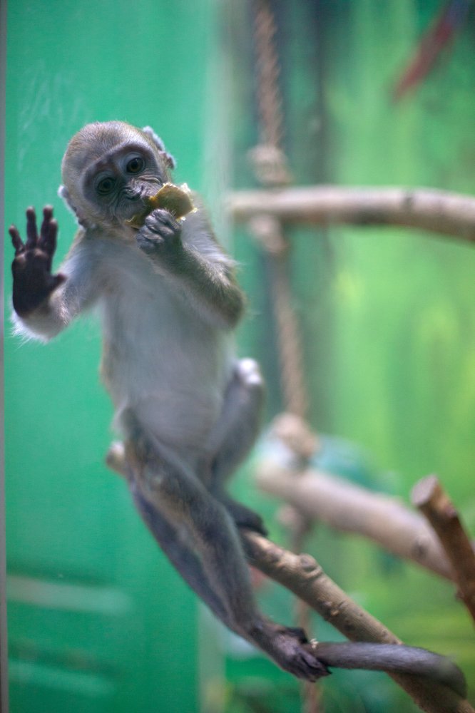 Photograph by Елена Полянская