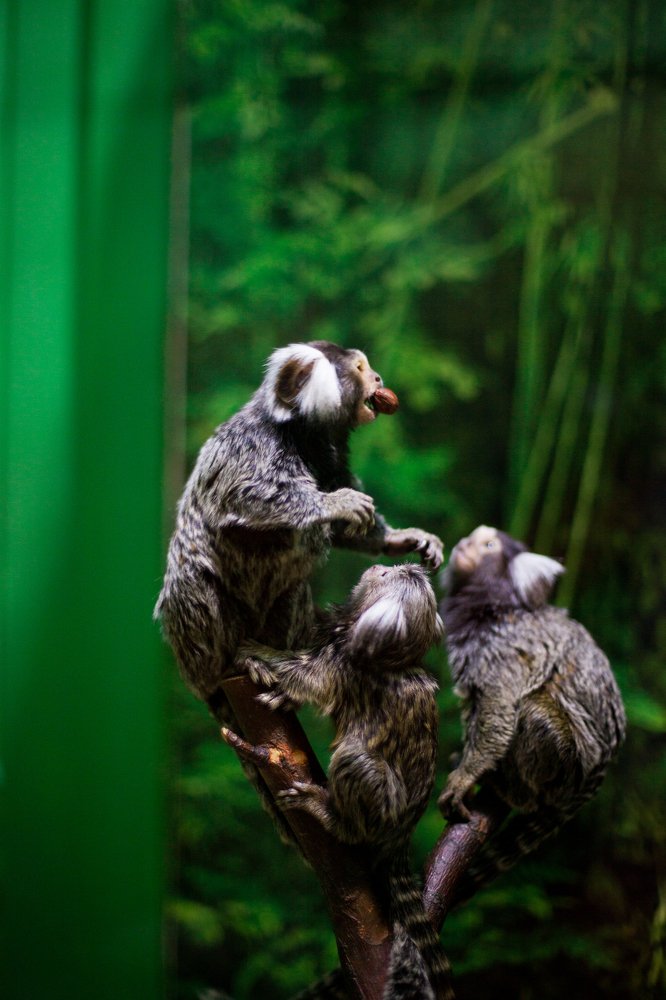 Photograph by Елена Полянская