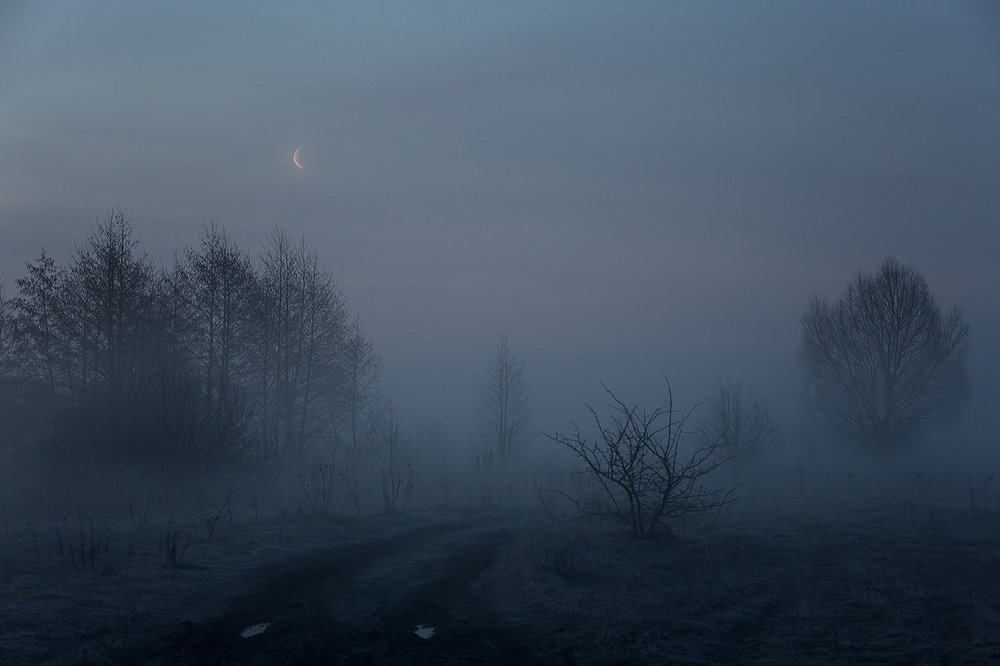 Фотография автора Юрий Сорокин