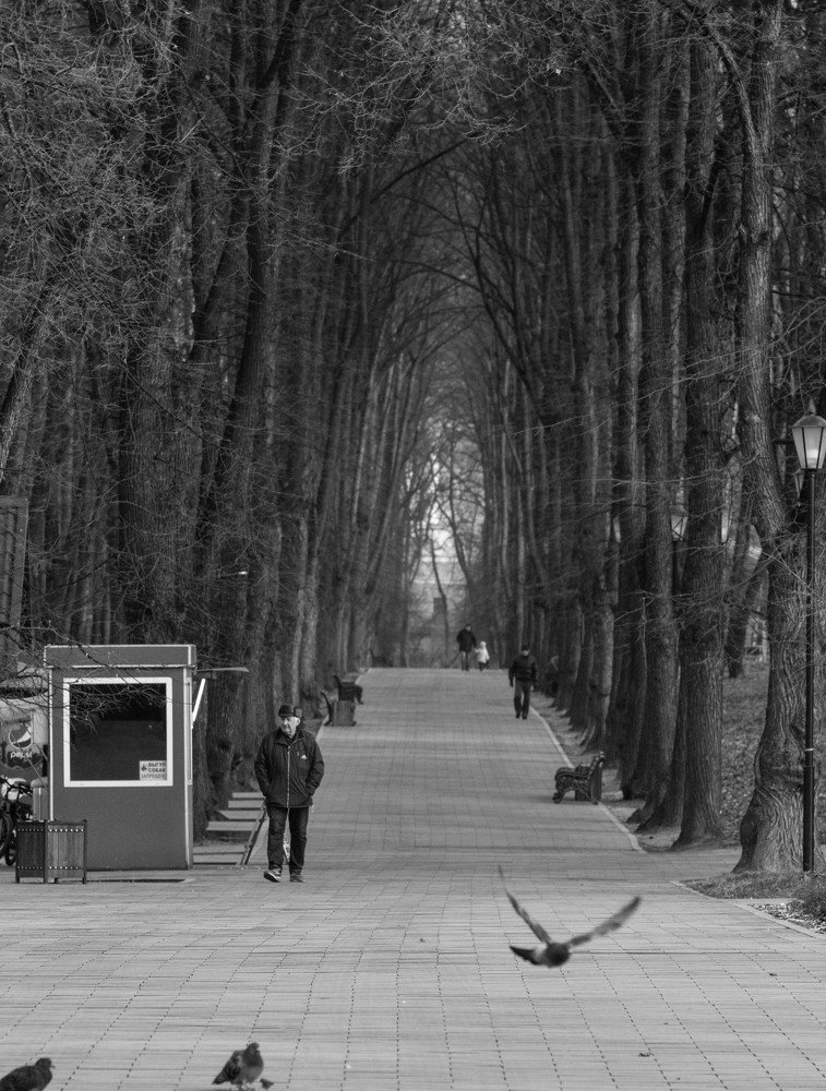 Photograph by Александр Устинов