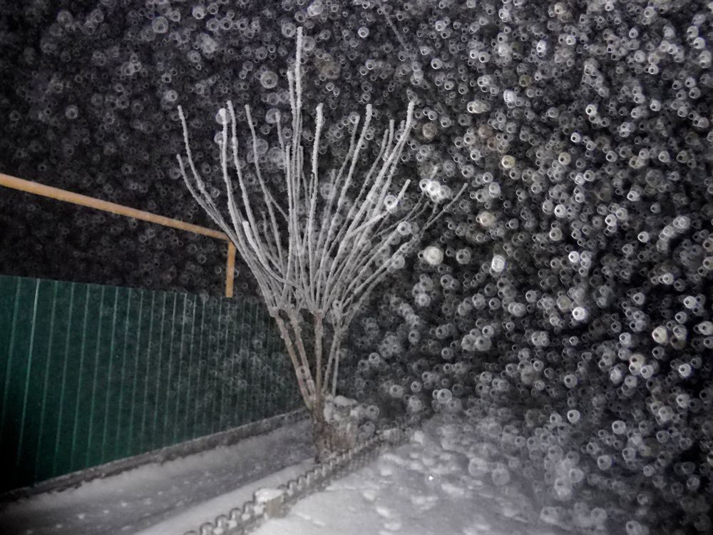 Фотография автора Клавдия Васильева