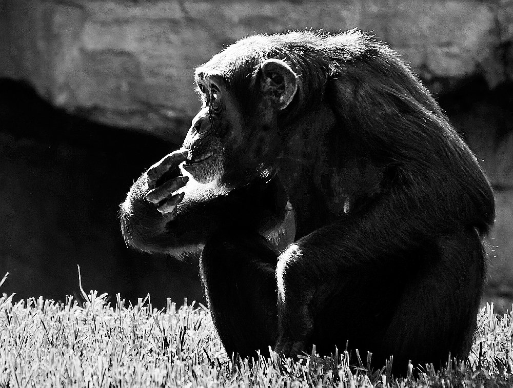 Photograph by Сергей Заболотских