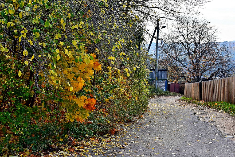 Photograph by Alexey Smal