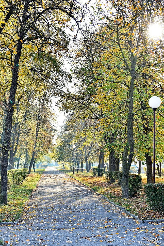 Photograph by Alexey Smal