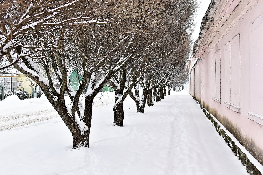 Photograph by Alexey Smal