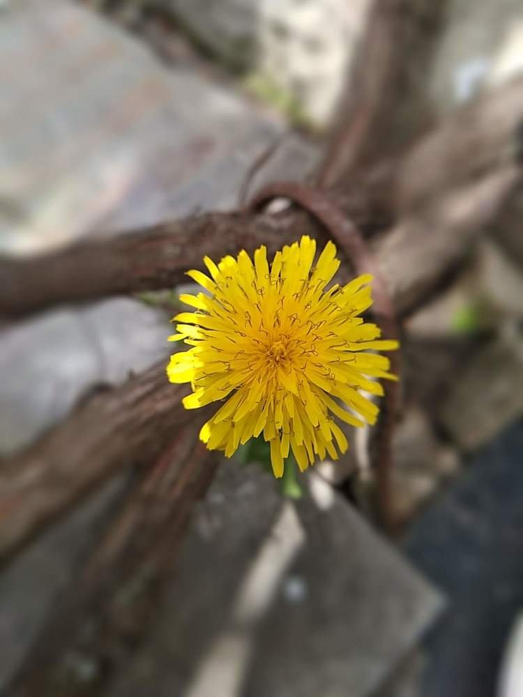 Фотография автора Alexandra Baranova