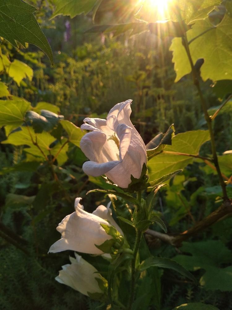 Фотография автора Alexandra Baranova