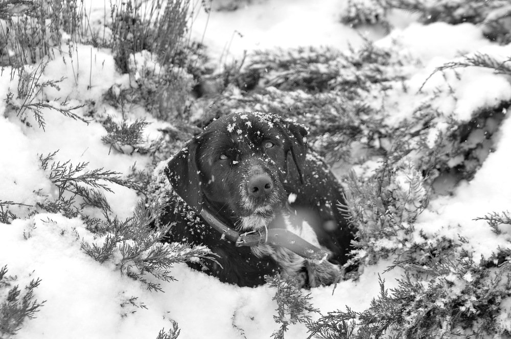 Photograph by Татьяна Вишнякова