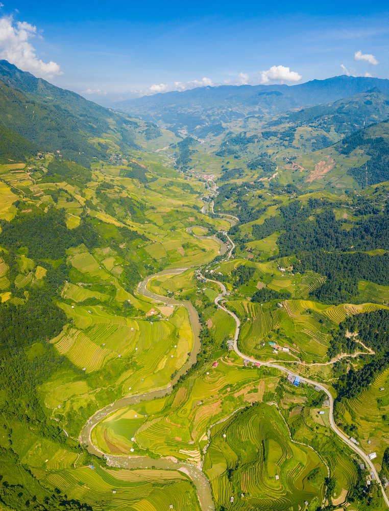 The season of ripe rice on the plateau