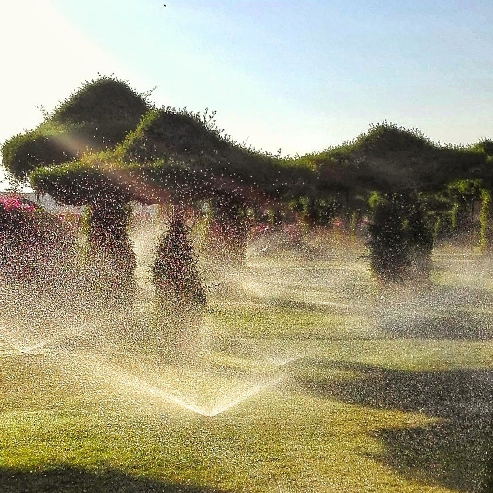 Photograph by Maria Hajsmanova