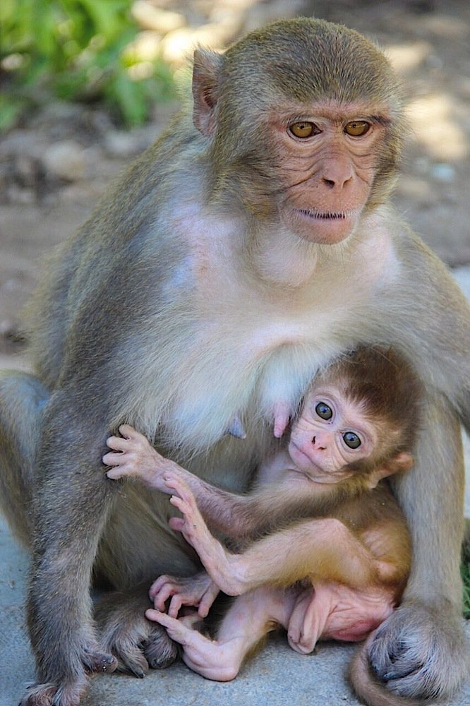 Photograph by @bersenika