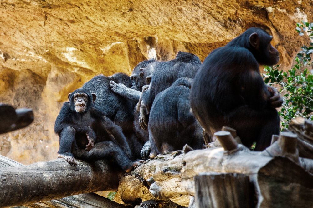 Фотография автора Гудкова Светлана