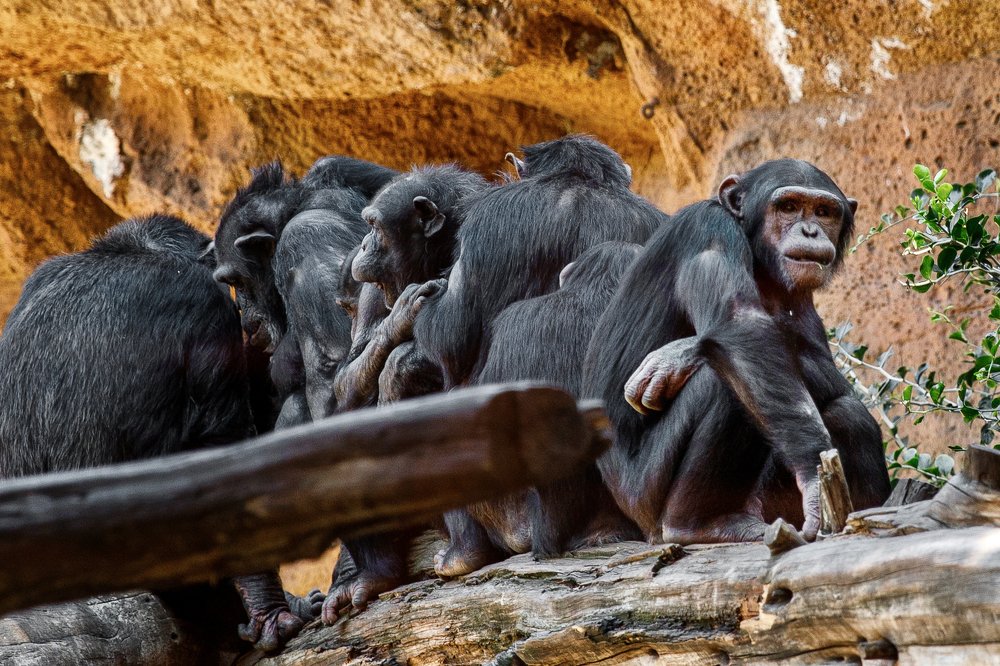 Фотография автора Гудкова Светлана