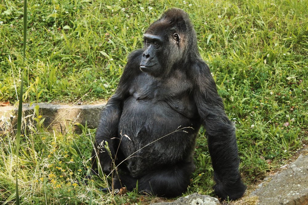 Фотография автора Гудкова Светлана