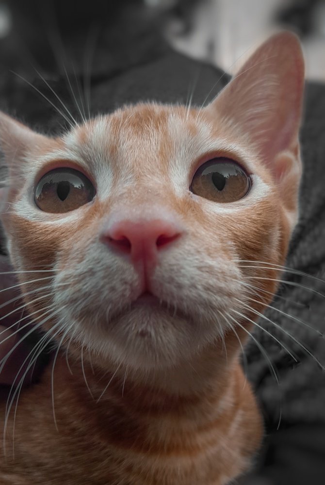 Photograph by  Jubair Ahmed