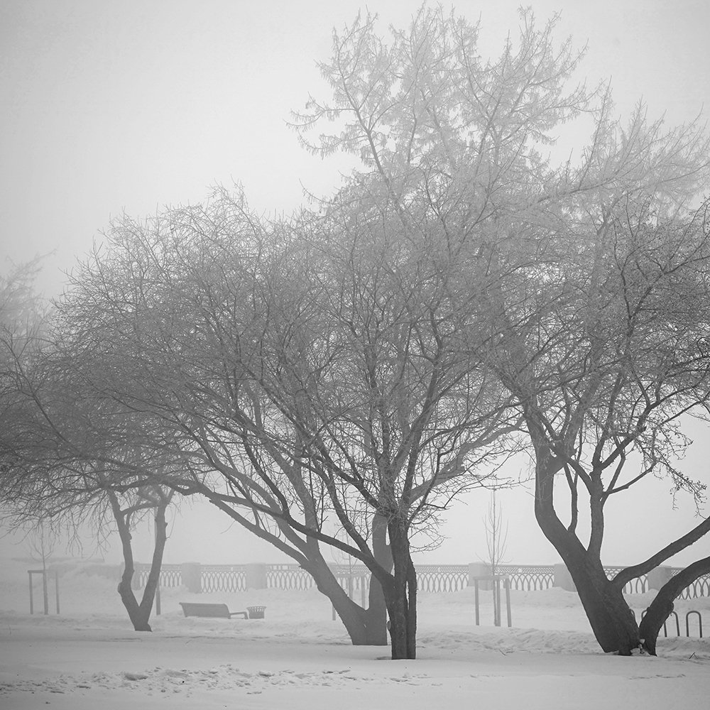 Photograph by Алексей Родак